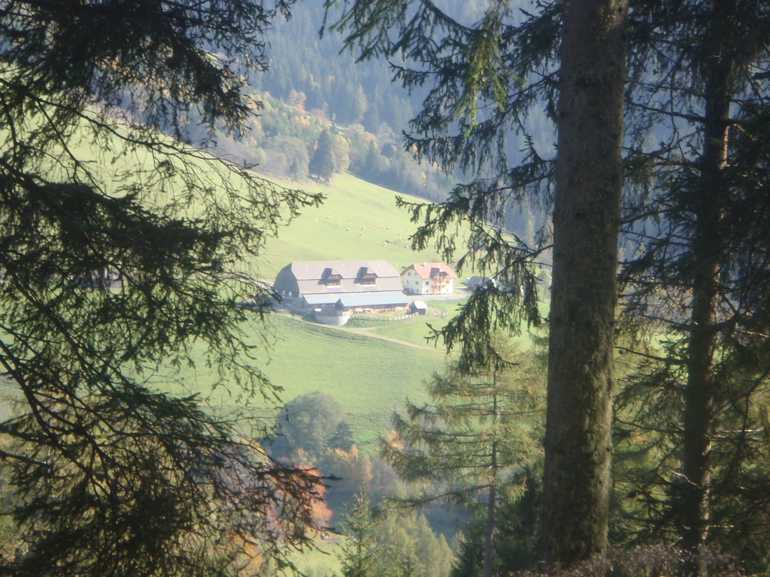 Blick auf den Bauernhof und das Haus vom Gegenhang.